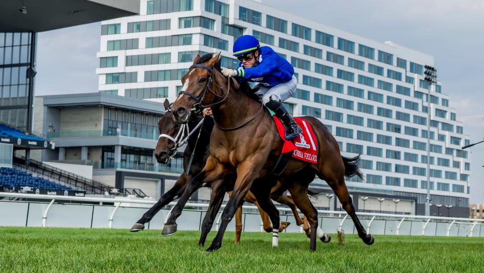 Natalma Stakes, Ontario Matron, Woodbine, horse racing, America's Best Racing, ABR